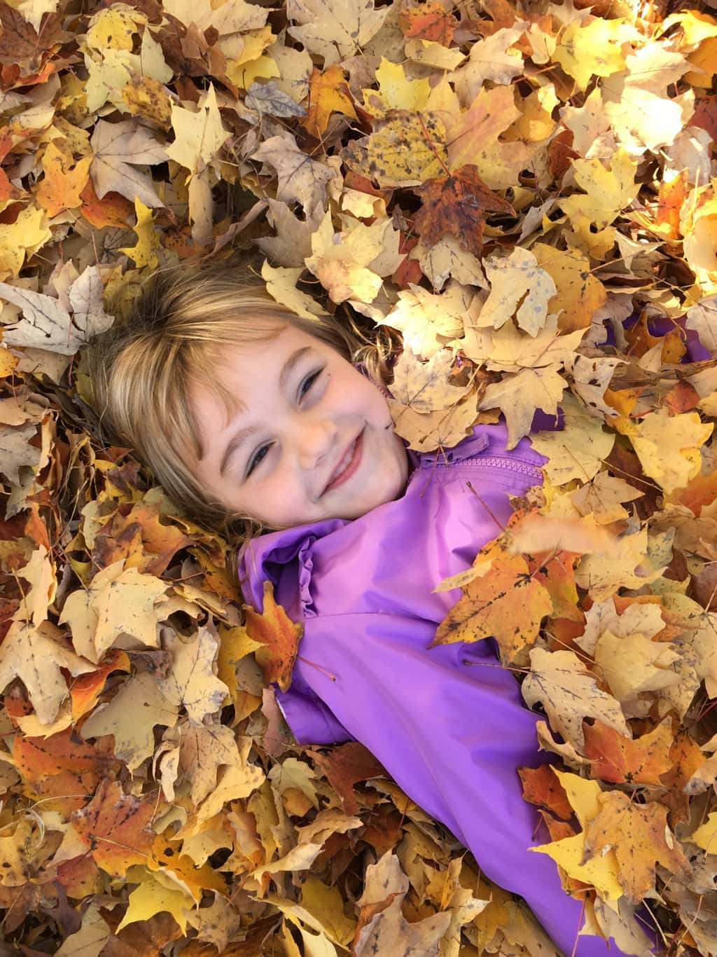 Fall leaf fun has finally returned!