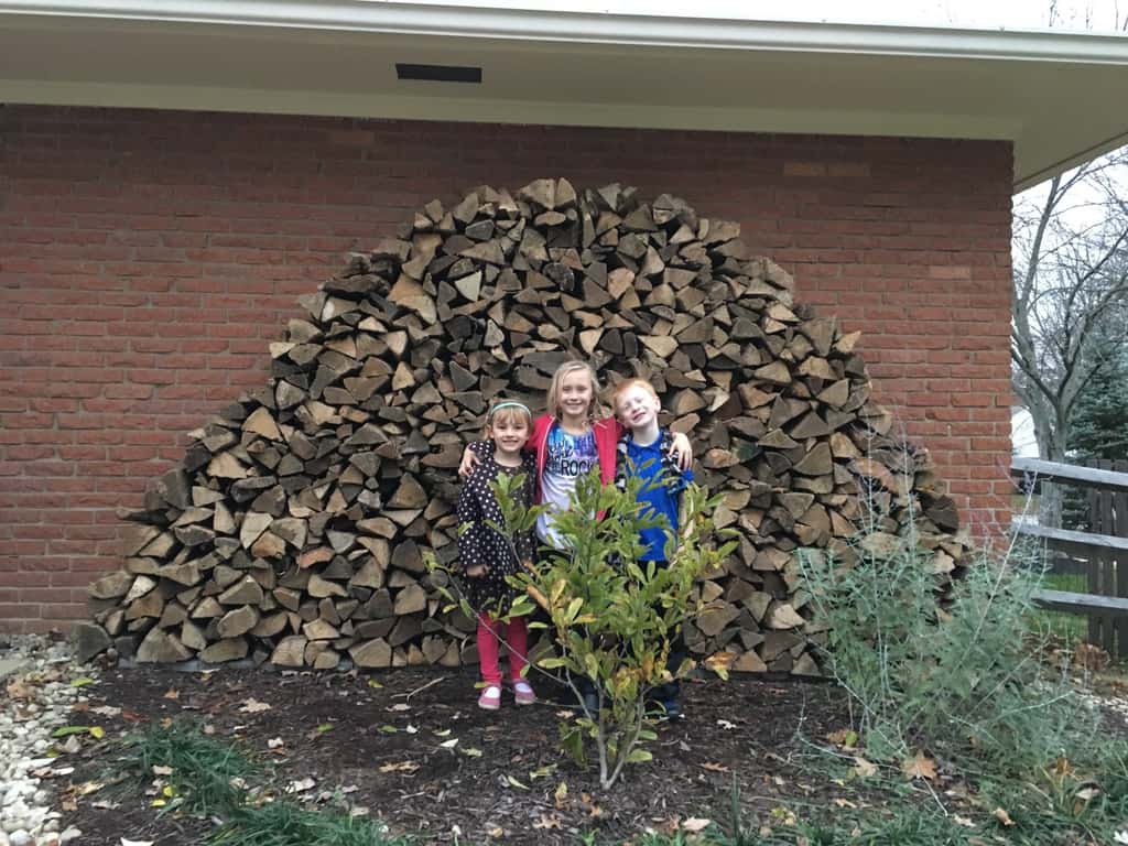 2/3 of a cord. My stacking helpers were awesome and their price was great: two cookies per kid. Is that exploitation?