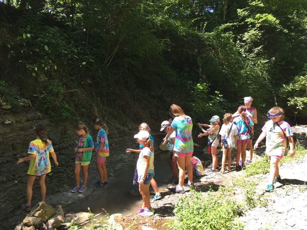 We had another good day at Girl Scout camp! In addition to hiking and creeking, the girls showed off their storytelling and drawing skills for our all-camp comic, added to their nature notebooks, learned fun Girl Scout games from the Red Unit, tie-dyed t-shirts, played drip drip drench, sang songs to the Pixies, and more!