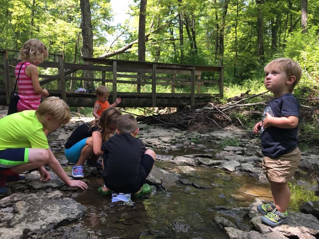 Gwen declared that our hike at French Park today was her “most favorite playgroup ever!”