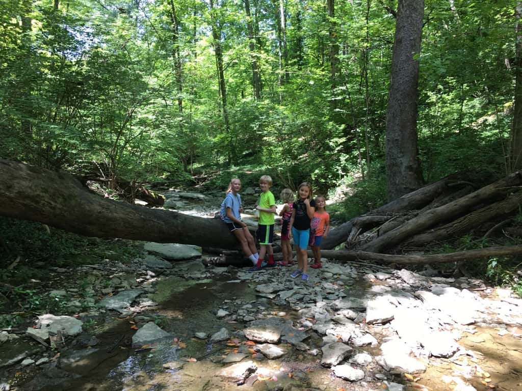 Gwen declared that our hike at French Park today was her “most favorite playgroup ever!”